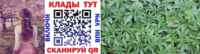 Наркошоп купить Каннабис  МЕФ  Alpha-PVP  Галлюциногенные грибы  КОКАИН  ГАШИШ  Новочеркасск