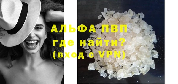 стафф Касимов