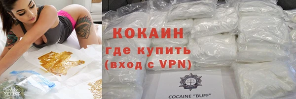 дмт Каменка