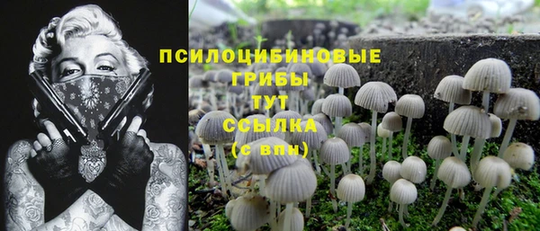 дмт Каменка