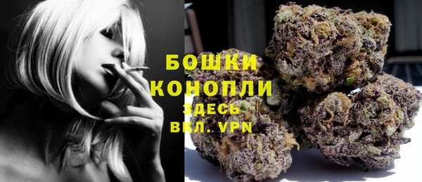 стафф Касимов