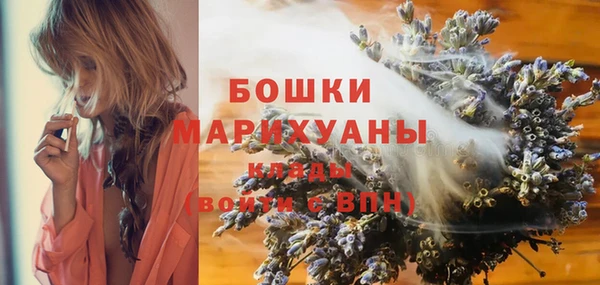 стафф Касимов