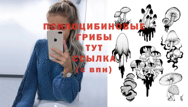 дмт Каменка